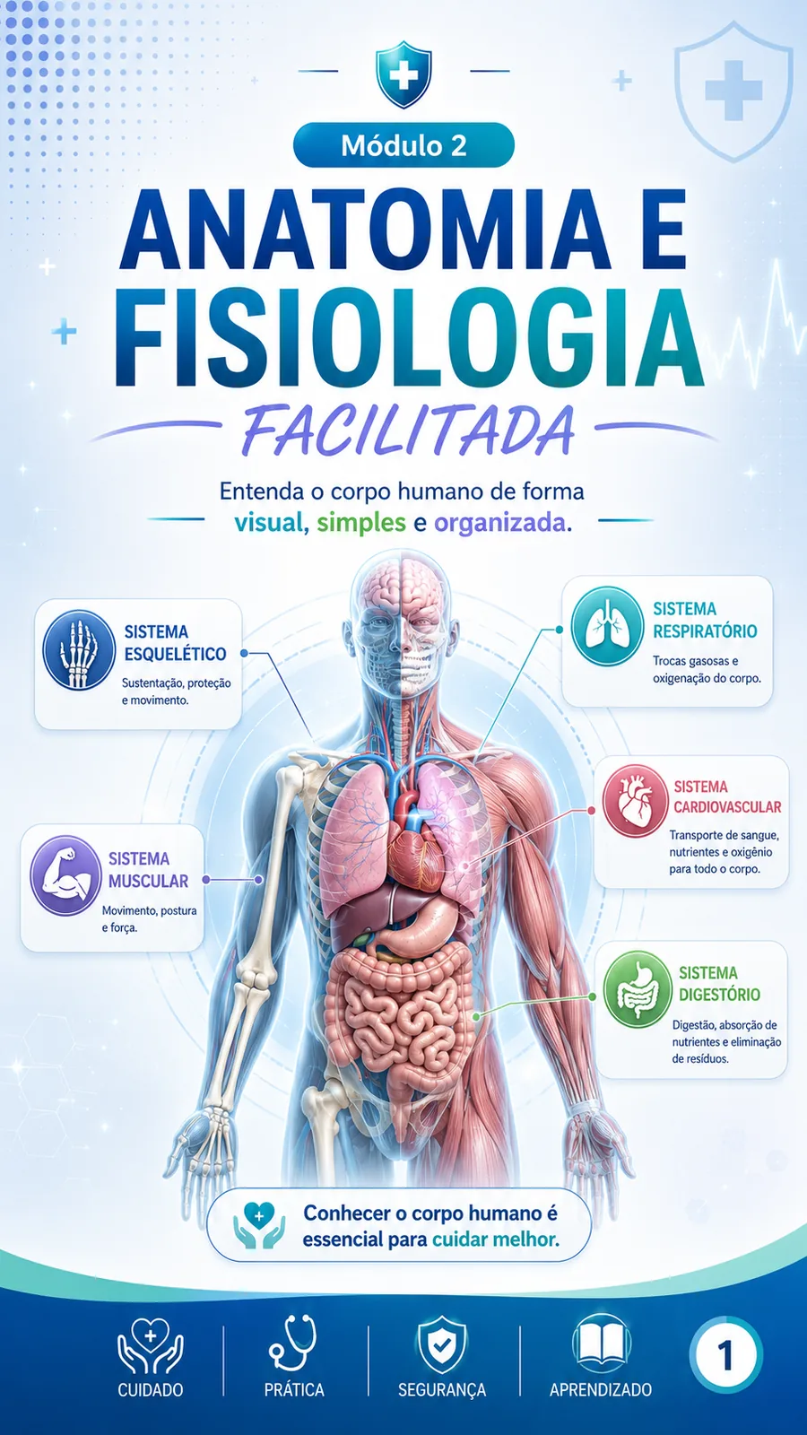 Anatomia e Fisiologia