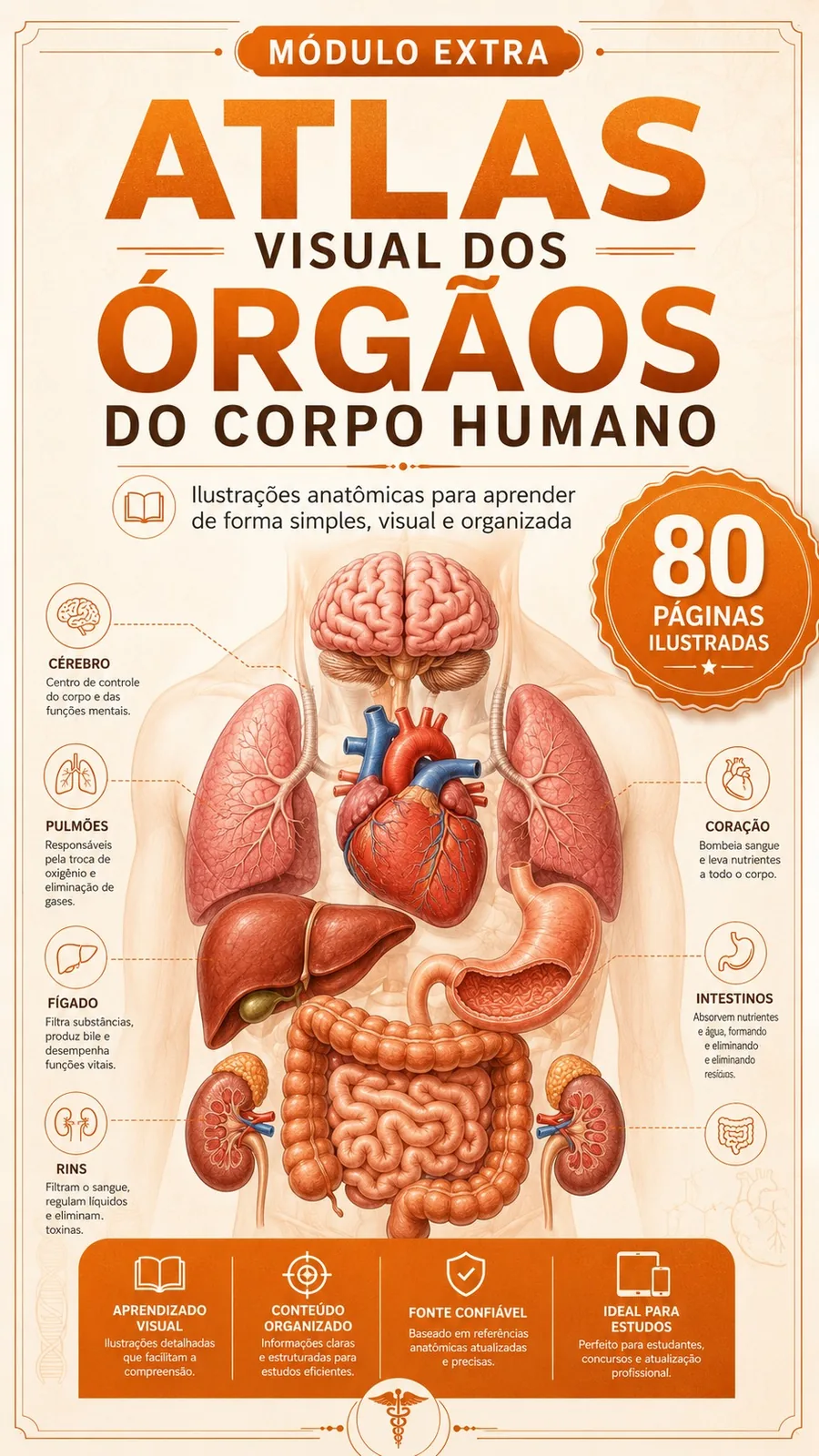 Atlas Anatômico do Corpo Humano